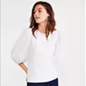 Ann Taylor Sheer Puff Sleeve Top XXL